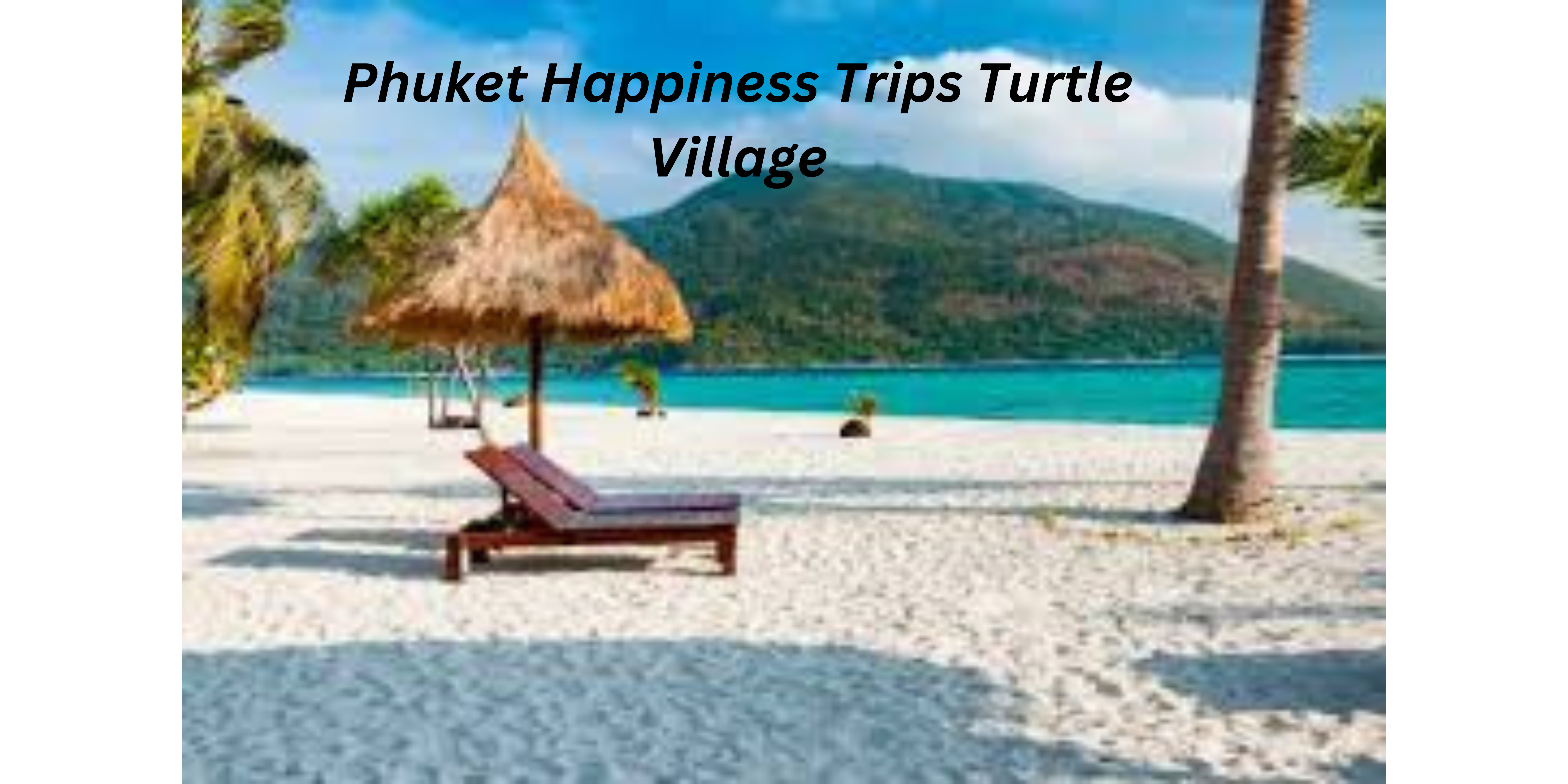Phuket Happiness Trips Turtle Village