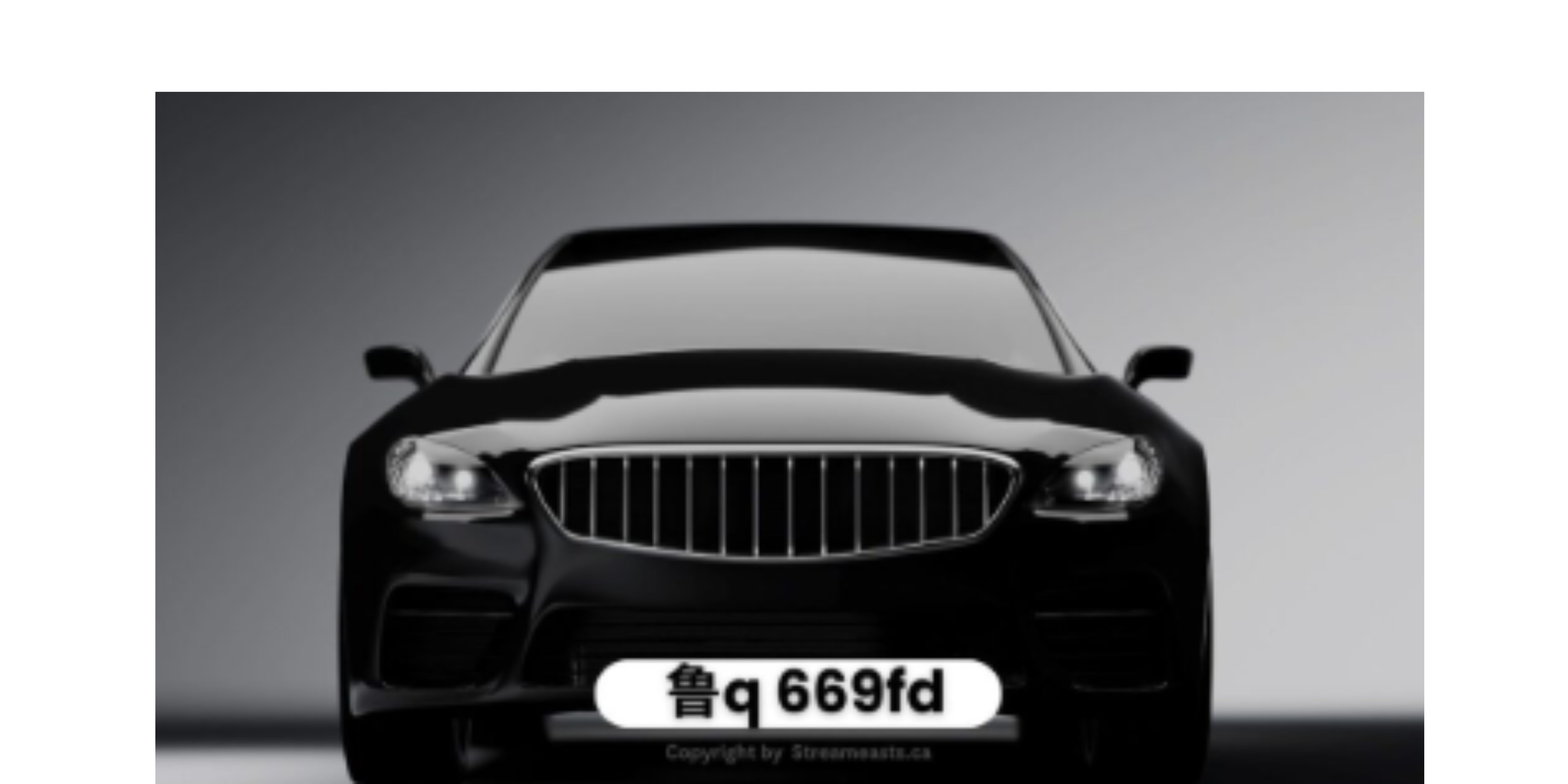 鲁Q 669FD