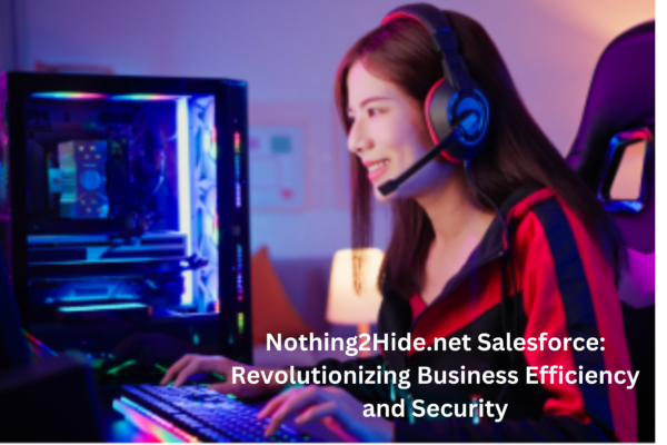 Nothing2Hide.net Salesforce